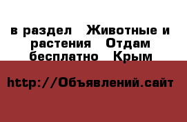  в раздел : Животные и растения » Отдам бесплатно . Крым